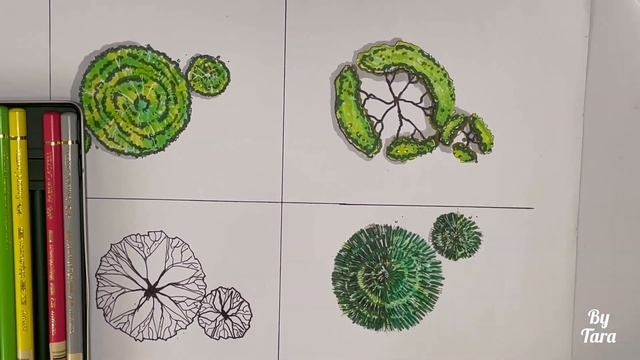 how to draw trees in the plan. part 2#draw #art #sketch #architect #arch смотреть онлайн