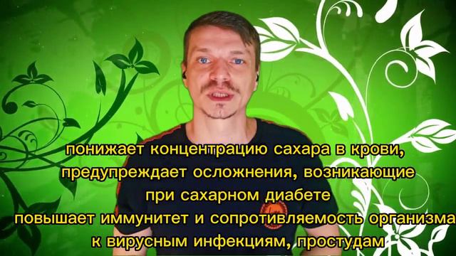 Адаптогены. Женьшень, элеутерококк, левзея, родиола розовая, лимонник китайский (дальневосточный). смотреть онлайн