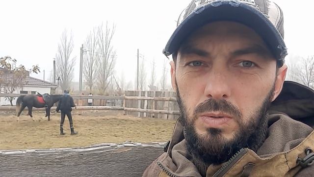 В каком возрасте нужно объезжать лошадь? смотреть онлайн