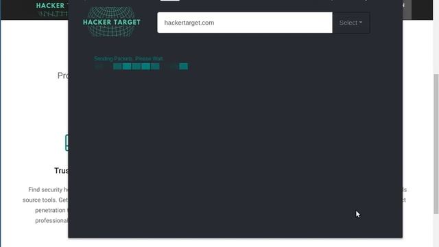 IP Tools Chrome Extension смотреть онлайн