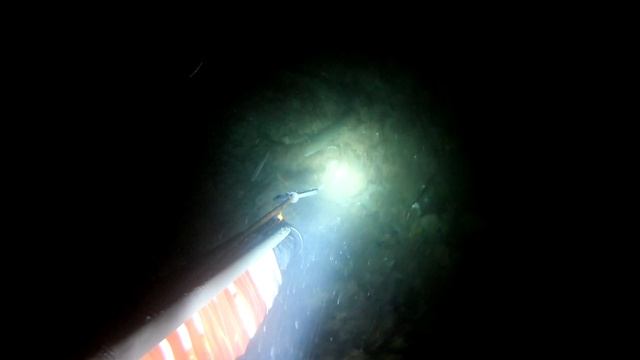 Подводная рыбалка на Чёрном море ночью, варим крабов, жарим добытую рыбу кефаль смотреть онлайн