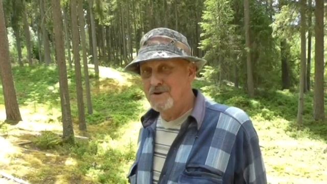 Дары леса | Выехали в лес | Есть ли ягоды в лесу в этом году? смотреть онлайн