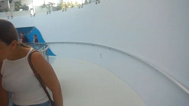 Путешествие Turkey - Antalya. День 4. Tunektepe Teleferik, Aquarium Of Antalya