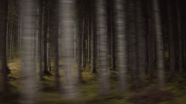 Die Kia EV6 Weltpremiere. Sei Dabei!