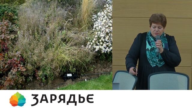 Семинар «Ассортимент растений для цветников в постприродном пространстве» смотреть онлайн