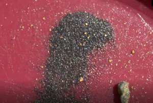 Часть 2. Небольшое путешествие за Золотом.Стараемся!