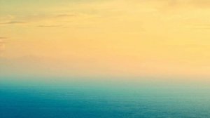 КРИСПИ, PUSSYKILLER - Целуй (текст песни)