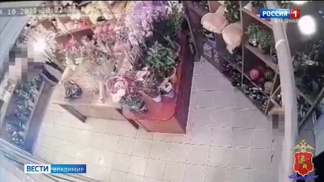 Во Владимире задержан "дерзкий романтик", подозреваемый в краже орхидей смотреть онлайн