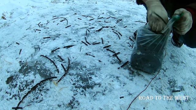 В рейсы с мужем! Зачем? смотреть онлайн