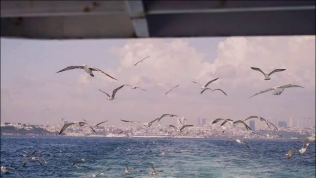 Серые глаза смотреть онлайн