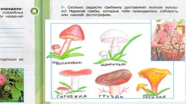 Окружающий мир. Рабочая тетрадь 3 класс 1 часть. ГДЗ стр. 67 №5 смотреть онлайн