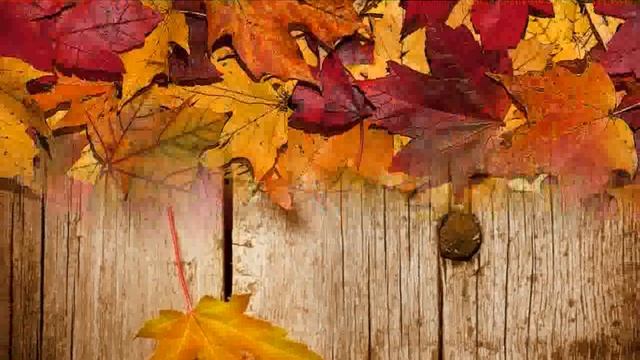 Autumn Leaves pictures смотреть онлайн