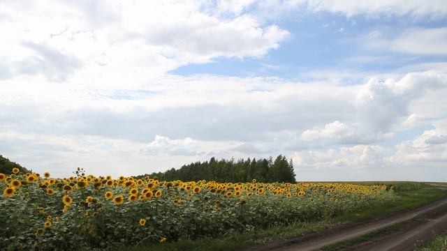Белгородская область. Презентация региона смотреть онлайн
