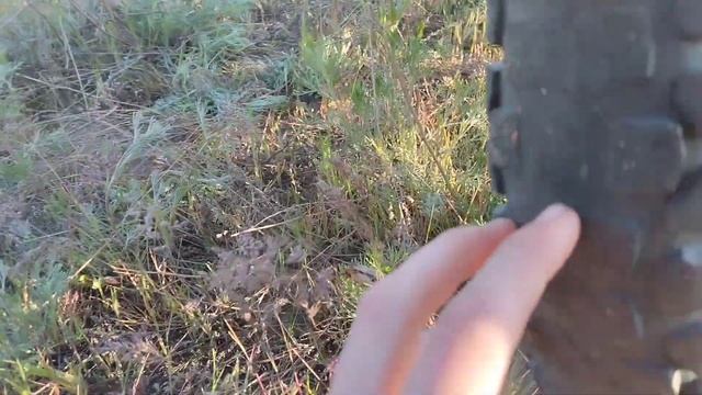 ЧТО СЛУЧИЛОСЬ С АЛЬФОЙ СПУСТЯ 5000 КМ ПРОБЕГА смотреть онлайн