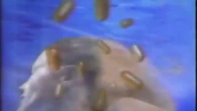 PANTENE PRO-V Daily Clarifying Shampoo 