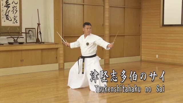 Ryukyu Kobudo Kongo-ryu "Sai" DVD trailer смотреть онлайн