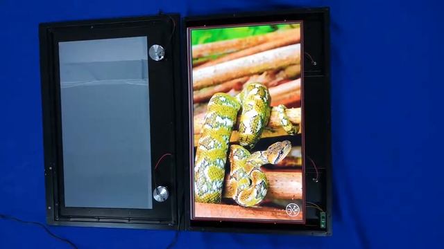 Тест IPX4 телевизора AVEL