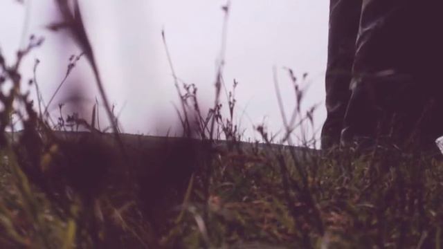 Проверка снасти с Joom смотреть онлайн