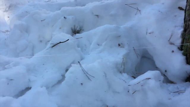 Обзор страйкбольной растяжки смотреть онлайн