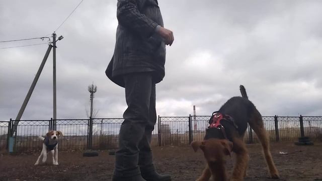Защита. Дина. Собирание кусочков. смотреть онлайн