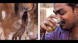 Самые большие яйца в мире [африканское племя ШОК 18+]