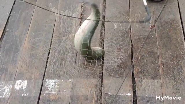 Спортзона, поимки смотреть онлайн