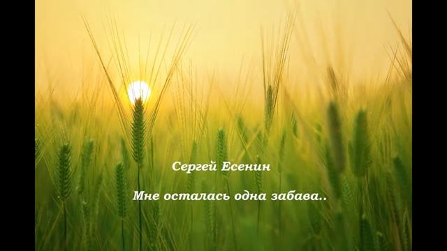 Сергей Есенин - Мне осталась одна забава.. смотреть онлайн