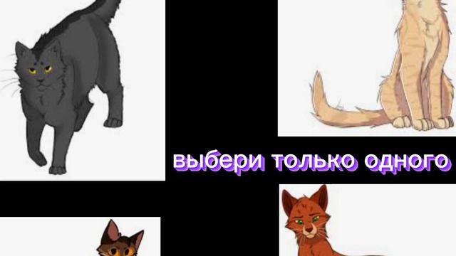 зачем ты меня променял😭🥺#котывоители смотреть онлайн