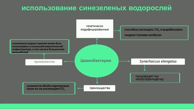 Сапарбекова А.А. - Биоремедиация  Основные понятия и определения