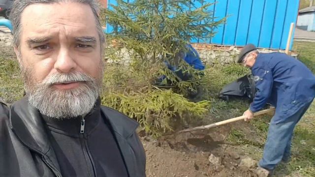 Ель смотреть онлайн