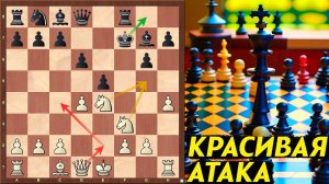 Острым умом к победе: Фантастическая атака шахматистов