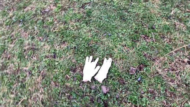 Алабай Чёрная Роза ? Царевна Лебедь и Князь Гвидон на прогулке САО смотреть онлайн