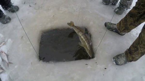 Рыбалка сетями зимой