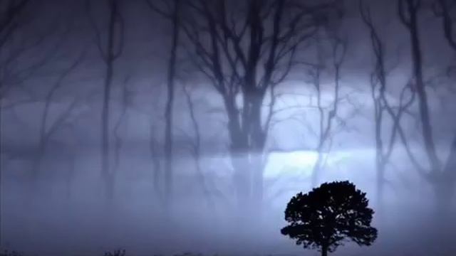 Scary Music / Мистическая музыка