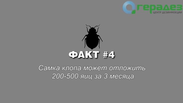 7 фактов о постельных клопах смотреть онлайн