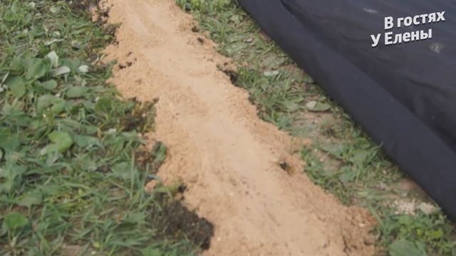 ДАЧА. НОВЫЙ ВИД ГРЯДКИ.БИОТОПЛИВО ЧТО ЭТО. ЦВЕТОЧНАЯ ОВОЩНАЯ РАССАДА. ЧАСТЬ 3. смотреть онлайн