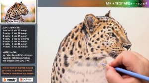 Как нарисовать леопарда цветными карандашами ? ТАЙМЛАПС ? Ускорено в 100 раз!