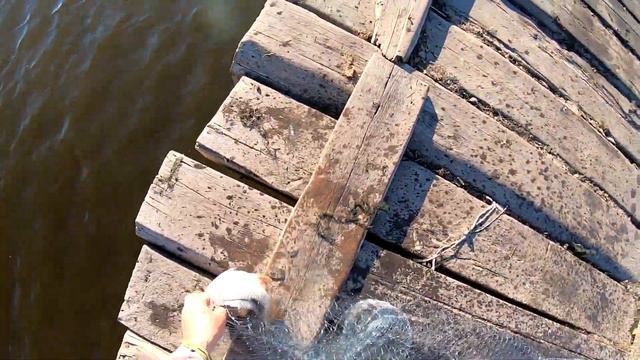 НУ НАКОНЕЦ ТО РЫБКА ШЕВЕЛЬНУЛАСЬ...Рыбалка КАСТИНГОВОЙ сетью с МОСТА на рассвете... смотреть онлайн