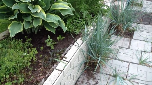 У нас в гостях Ольга ФЕО! Решаем, что посадить у водоема!