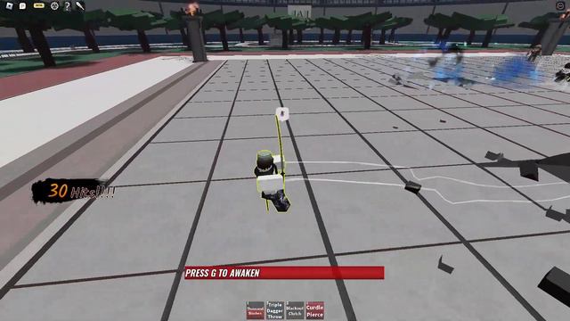 Combo, Hero Slayer Поля битвы героев смотреть онлайн