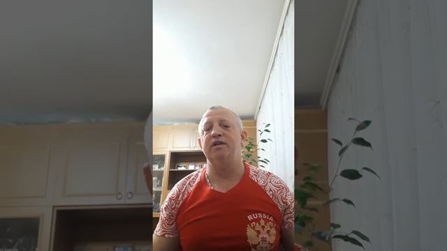 Дрессировка. Как и чем вычесывать собаку? смотреть онлайн
