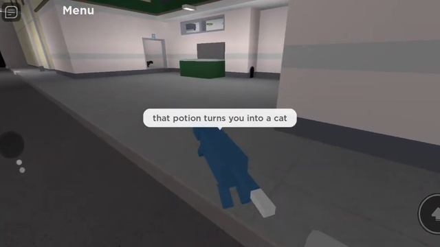 Roblox cook burgers what the mystery potion does turns you into a cat смотреть онлайн