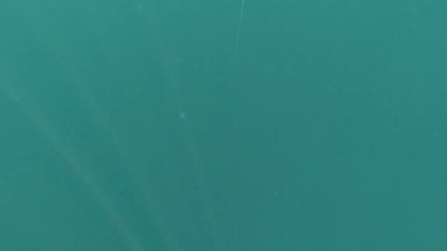 Fishing in Kotor Bay - Montenegro смотреть онлайн