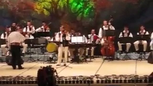 Marius Sabo - Hora vioara смотреть онлайн