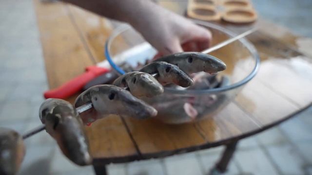 СУПЕР ДЖИЗ-БЫЗ из РЫБЫ-ЗМЕИ. ENG SUB смотреть онлайн