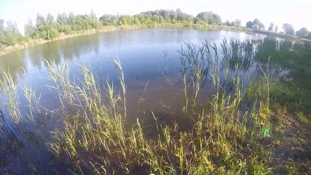 Рыбалка в Беларуси. Карповник Михалева. Могилевская область. смотреть онлайн