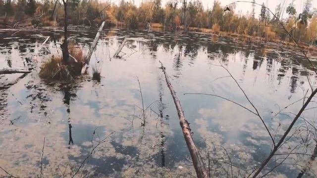 Охота на уток. Осень 2019 Якутия смотреть онлайн