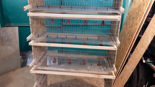 Клетка для перепелов своими руками. смотреть онлайн