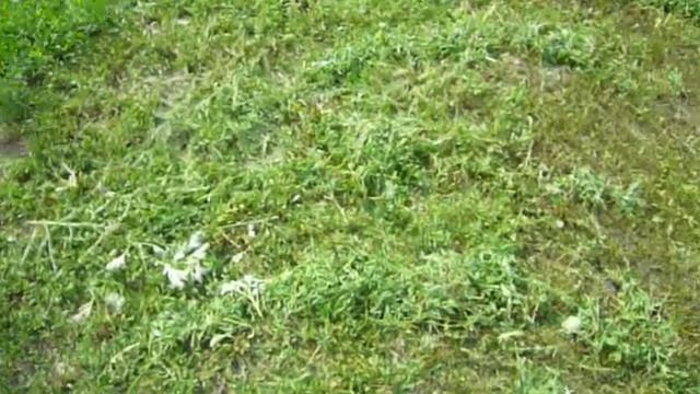 Нож для триммера своими руками смотреть онлайн