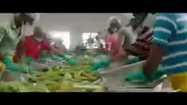 как готовить алоэ смотреть онлайн